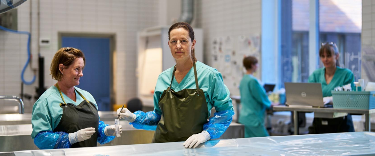 Vi jobber for god helse hos dyr og mennesker