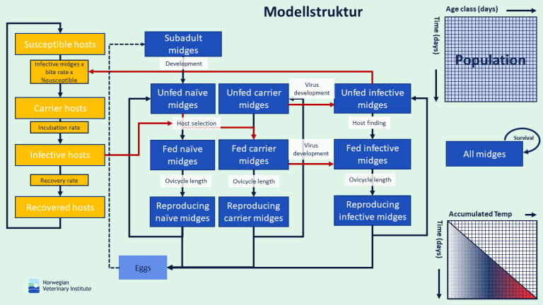 Modellstruktur1.png