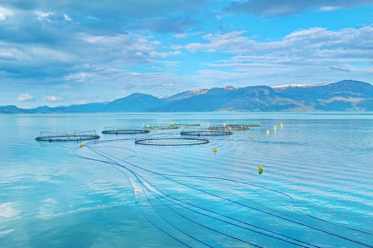 Oppdrettsanlegg. Foto: Shutterstock