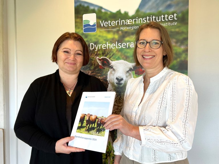Gun Peggy Strømstad Knudsen overrekker i dag Dyrehelserapporten 2024 til Marit Kolle i Mattilsynet.