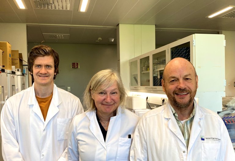 Bildet viser Snorre Gulla, Hanne Nilsen og Duncan Colquhoun som har bidratt i arbeidet med å klassifisere bakteriene. Foto: 