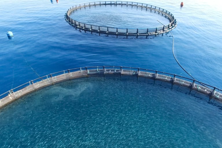 Illustrasjonsfoto: Colourbox