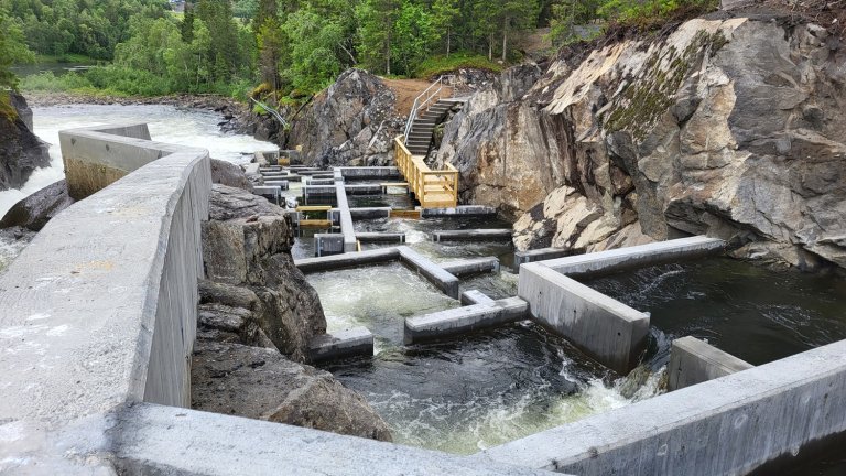 Den nye laksetrappa i Fusta.