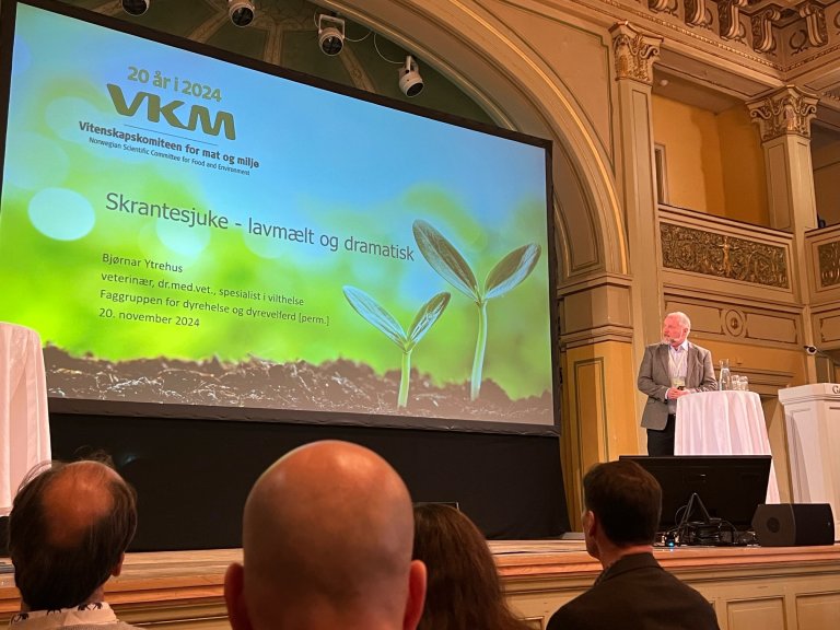 Foto av Bjørnar ytrehus på scenen under sitt foredrag